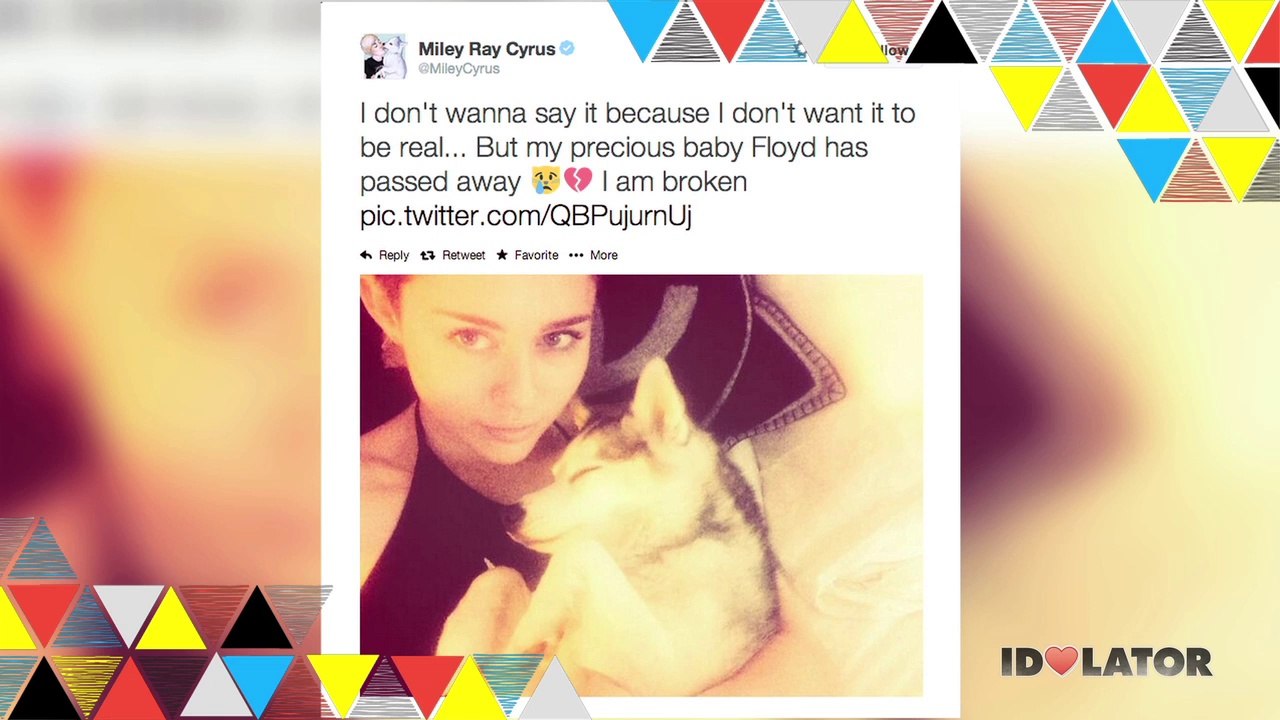 Sky Ferreira Talks Her Album, Miley Cyrus, Kate Bush and More