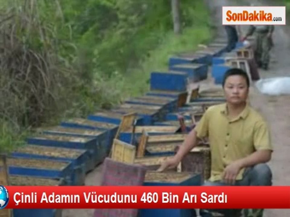 Çinli Adamın Vücudunu 460 Bin Arı Sardı