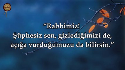 14 İbrahim Suresi - Nasser al Qatami