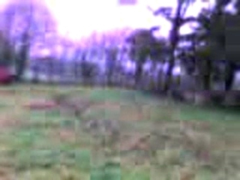 cle ve pa kon la reconaise