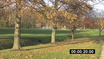 ALIEN ATTACK ON SMALL TOWN MUST SEE