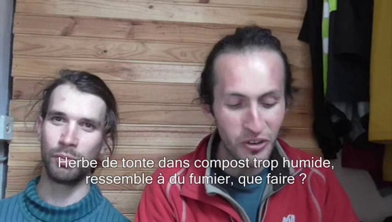 Questions réponses - Coquilles d'oeufs chaudes - Herbe de tonte et compost humide