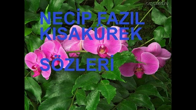 NECİP FAZIL KISAKÜREK SÖZLERİ