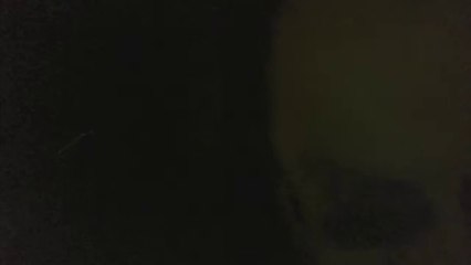 CELL PHONE VIDEO ENHANCED FOOTAGE OF FLYING MONSTER MOTHMAN?