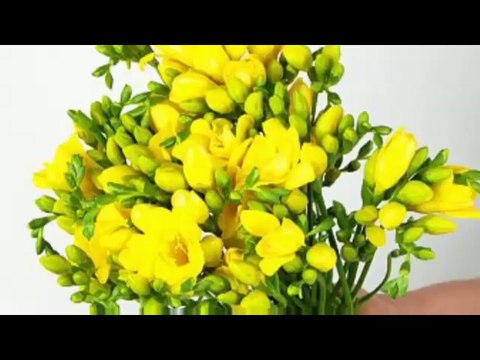 Emisiunea Radio Arthis din 11 aprilie 2014