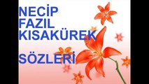 NECİP FAZIL KISAKÜREK SÖZLERİ