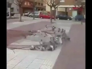 guvecin-boyle-yakalanır