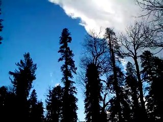 Nathia Gali Visit-43