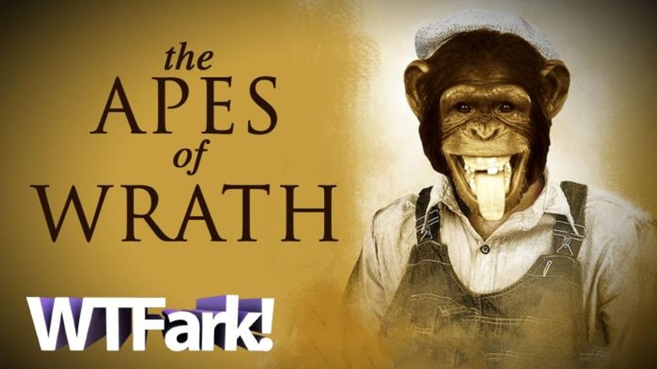 THE APES OF WRATH: Chimps Escape Zoo (Sort Of); Public Cowers in Fear (Not Really); Local News For the Win!