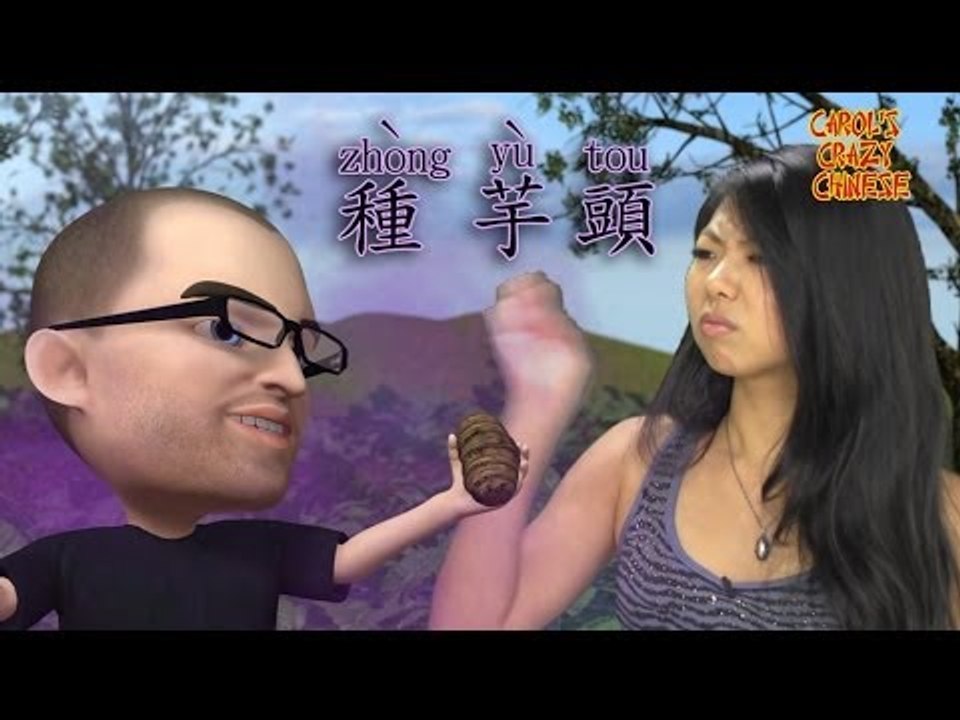 Carol's Crazy Chinese: Grow Taro (種芋頭）