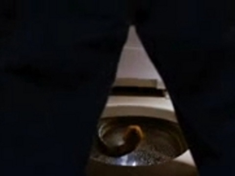 Des Serpents Dans L'Avion (Snakes On A P