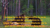 L'importance de Trouver sa Mission sur terre-(hd) traduit par eft-360 tapping