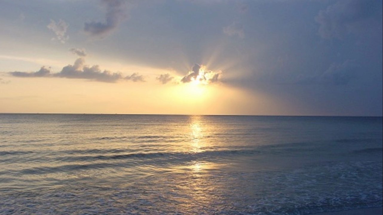 Danny Sawrij l UK Recycling and Waste Management