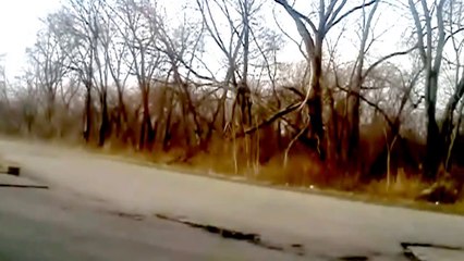 Hidden Angel of Death! Pareidolia! MUST SEE!!