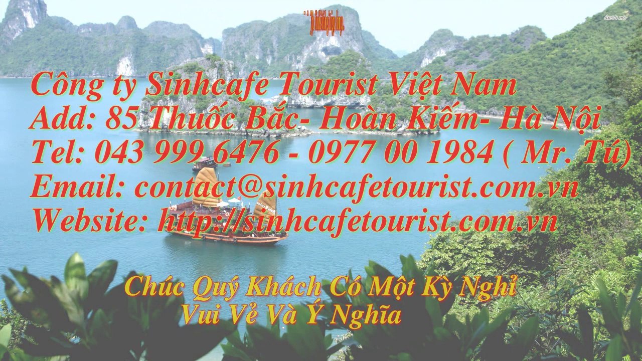 Halong Majestic Cruise - Bai Tu Long Discovery
