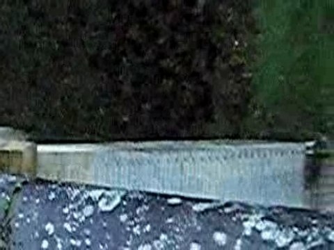 saut a l'élastique de mon chéri