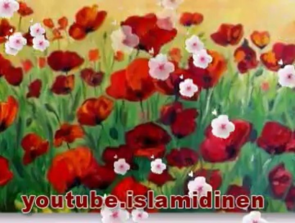 Üç Yaralı Gelincik Çiçeği