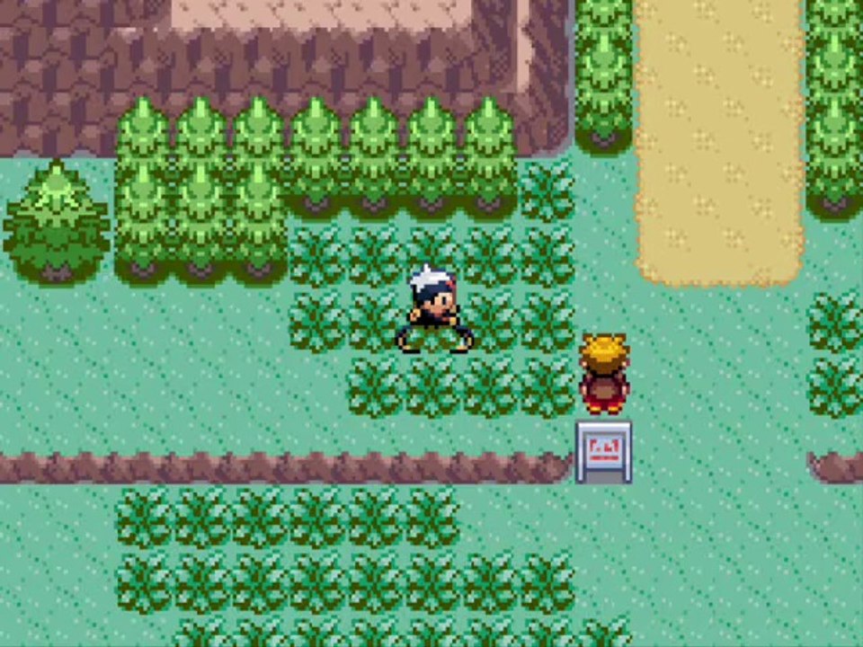 pokémon saphir 10) Duo de choc