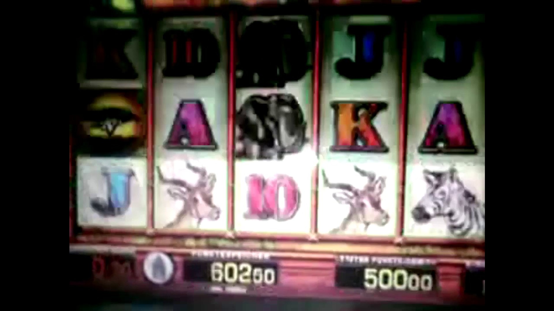 ⁣Merkur - Wild Leo - Vollbild Elefanten - Jackpot 500 erst Serie dann Vollbild 50cent