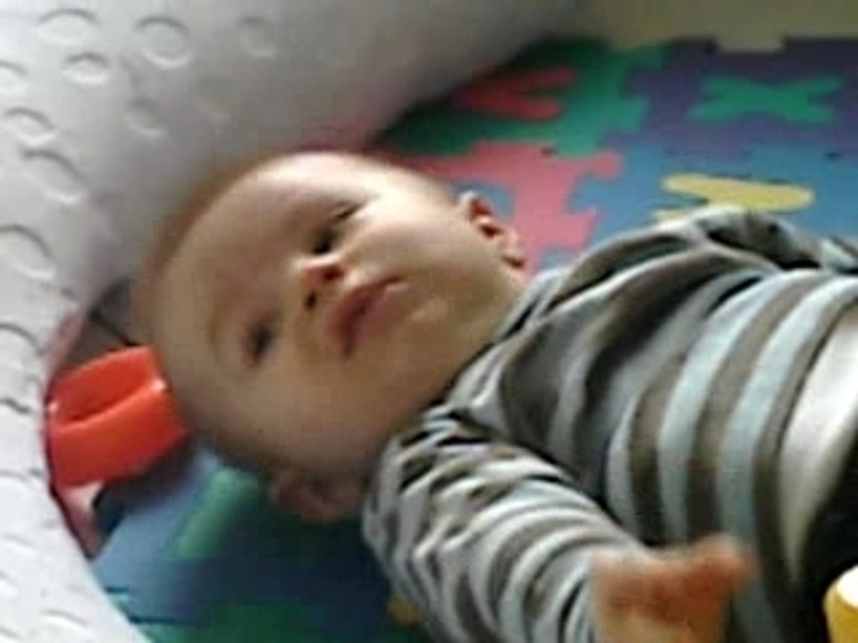 Jules la brouette!!!