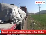 Erzurum'da Ocak Ayında İhracat 4,6 Milyon, İthalat İse 2,4 Milyon Dolar Oldu