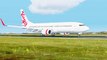 FSX Virgin Australia Boeing 737 Landing @ Port Macquarie ( Outside ) ( HD )