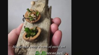 kawaii - Bonsai,盆栽,ミニ盆栽の作り方,How to make mini bonsai