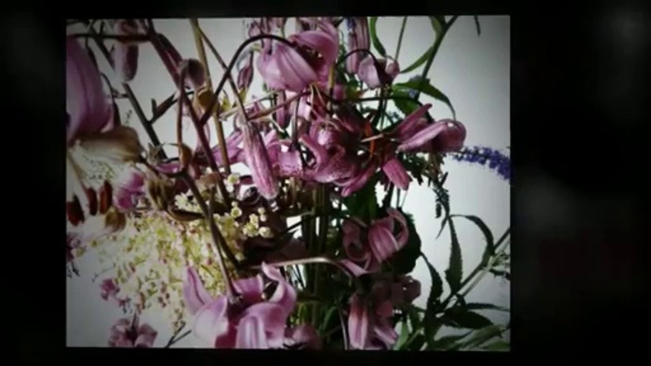 Свадебный фотограф Илья фон Баггер