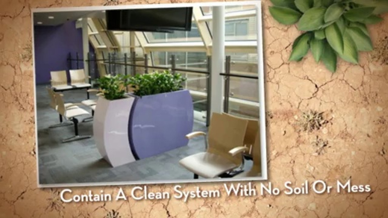 Eco Flower Products In Manchester