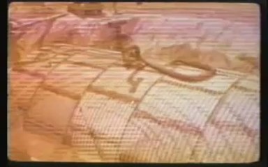 Declassified U.S. Nuclear Test Film #22