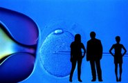 FDA Concerned About Embryos With Genetic Material Of Three Parents