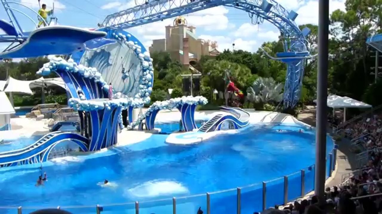 The Full Dolphin Dance Show in SeaWorld Orlando 9 11 2011