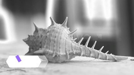 Hexahedral Lower Thirds - After Effects Template