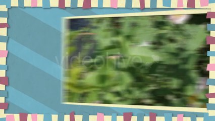 Your Business 2 Promote - After Effects Template