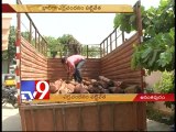 Red sandalwood smugglers arrested