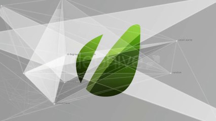 Connections - After Effects Template