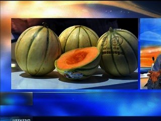 Cuisinez-moi: Le melon Philibon - 01/03