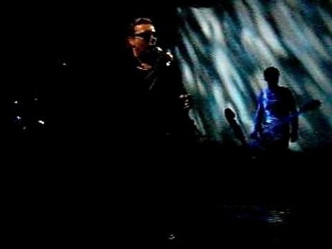 Alain Bashung en concert