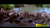 Chembazhukka...  kannezhuthi Pottum Thottu-K.J. Yesudas-Manju Warrier-Kalabhavan Mani