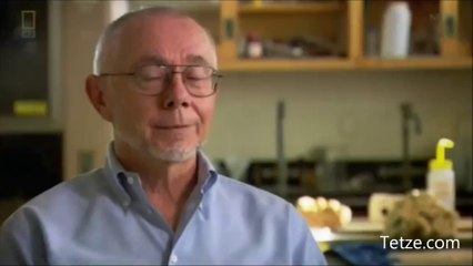 Unbelievable Truth Behind The Atlantis