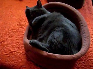 Dymka-brzuszek też mam piękny