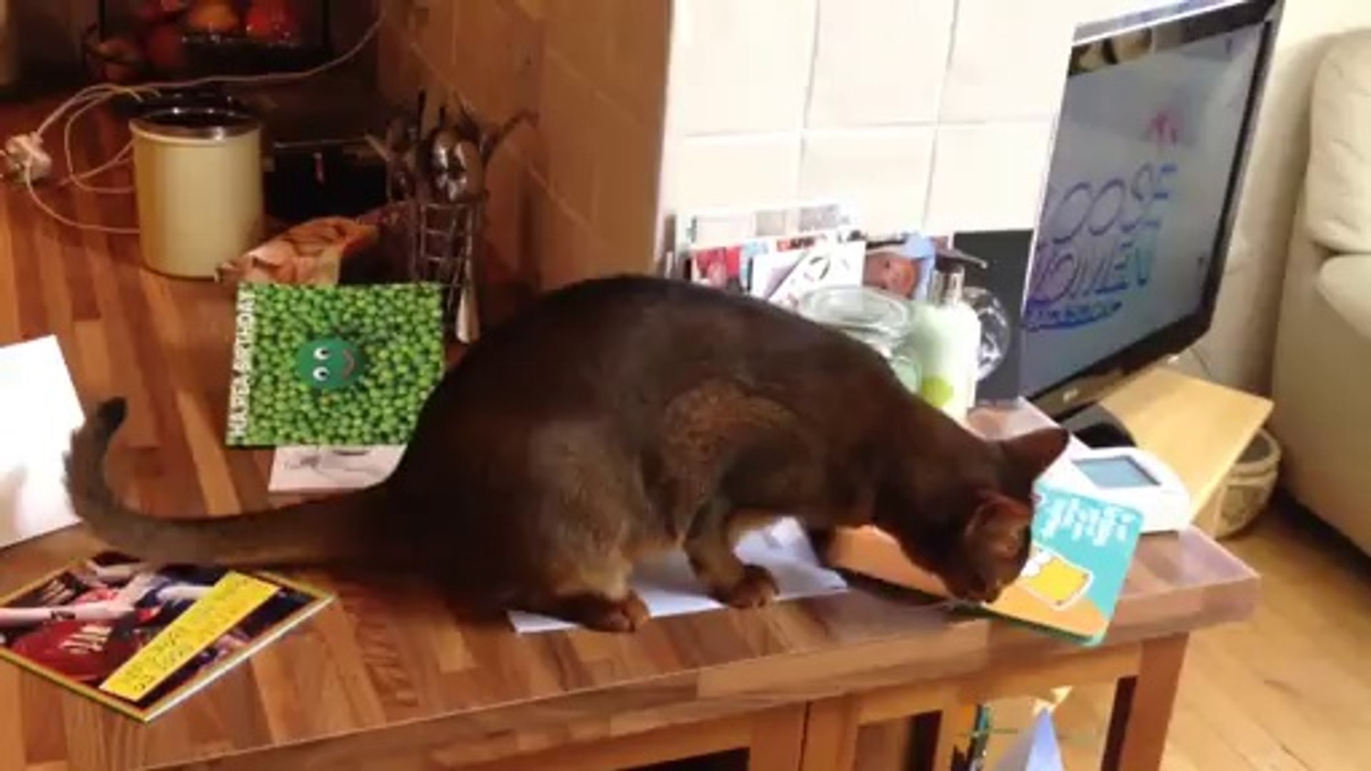 ⁣Grumpy Cat Hates Birthdays