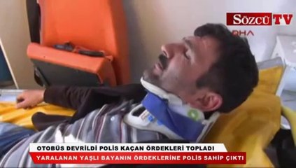 Descargar video: Otobüs devrildi polis kaçan ördekleri topladı