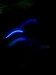 CENA SUMELISTA SEVILLA 22.02.14