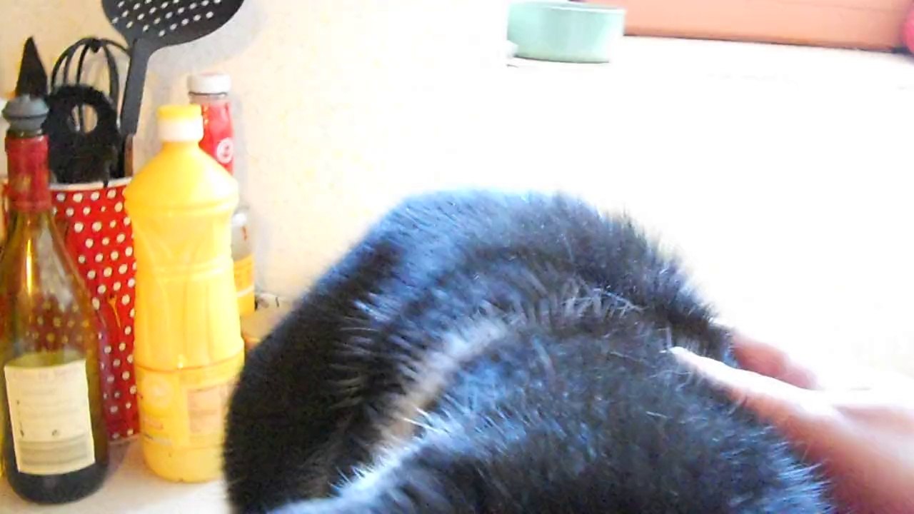 Edgar