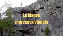 Mauve : morceaux choisis  (DJ Larchant boulder problems anthology)
