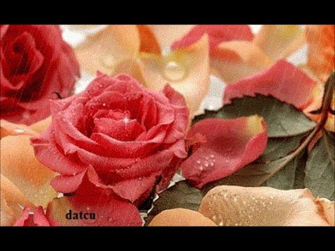 HAKAN TAŞIYAN-GÜZ GÜLLERİ