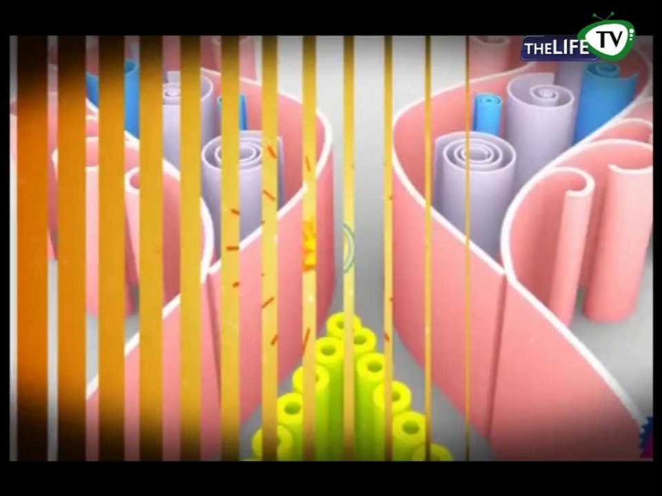 life Ki Subah Part 1 Guest : Dr. Sadaqat Ali