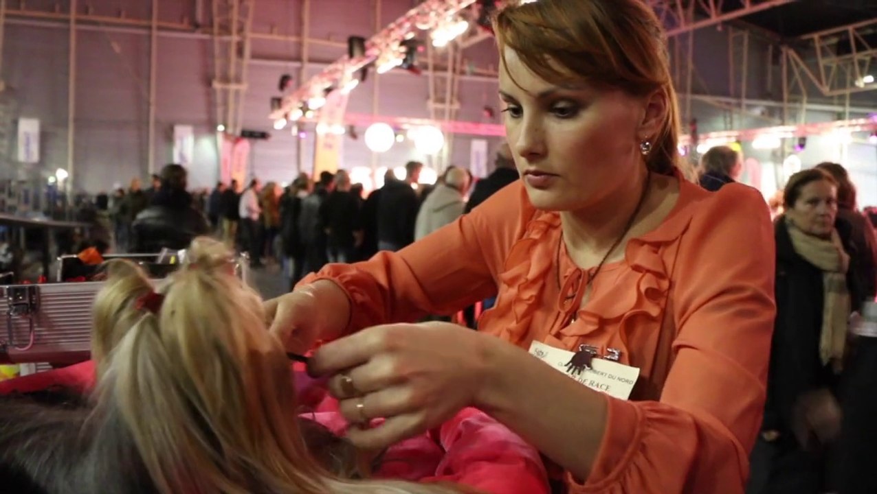 Exposition Canine à Douai Gayant-Expo - 01-03-14