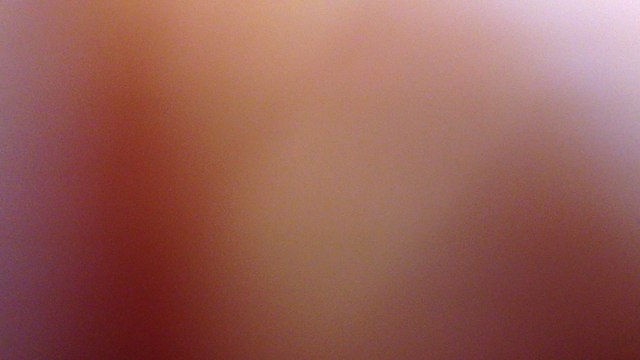 La croisée des talents